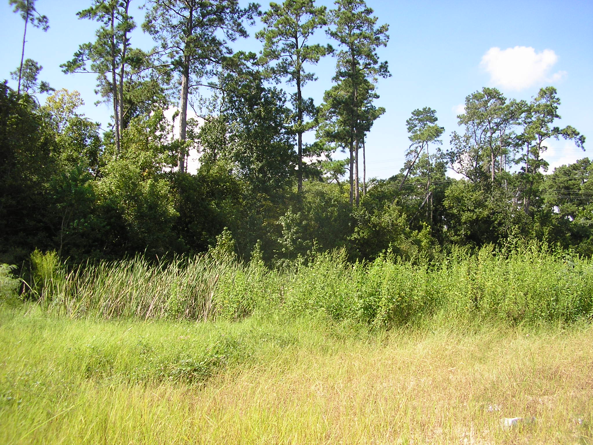 112 +/ Acres on San Jacinto River
